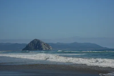 DSC_2516 (Large).JPG